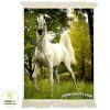 تابلو فرش ماشینی طرح حیوانات اسب سفید درمزرعه کد h11