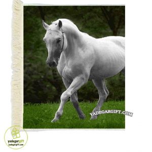 تابلو فرش ماشینی طرح حیوانات اسب سفید کد 1047