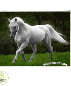 تابلو فرش ماشینی طرح حیوانات سپید یال کد h1