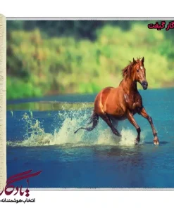 تابلوفرش ماشینی طرح حیوانات رقص بر آب کد h20-1