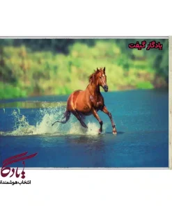 تابلو فرش ماشینی طرح حیوانات رقص بر آب کد h20