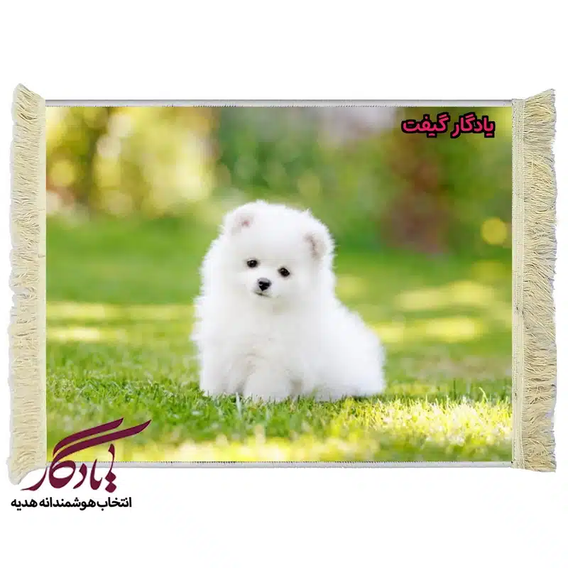 تابلو فرش ماشینی طرح حیوانات سگ پامر سفید کد h22