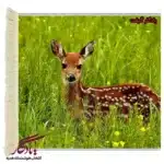 تابلوفرش ماشینی طرح حیوانات نگاه بچه گوزن کد h24-1