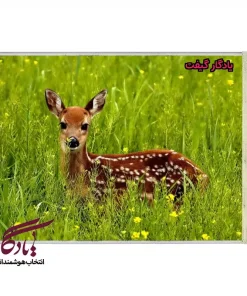 تابلو فرش ماشینی طرح حیوانات نگاه بچه گوزن کد h24