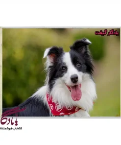 تابلو فرش ماشینی طرح حیوانات بردرکولی کد h46