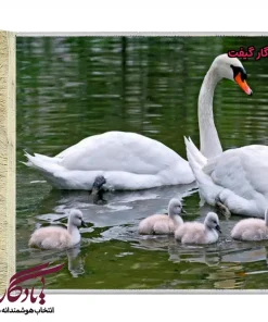 تابلو فرش ماشینی طرح حیوانات خانواده قوها کد h36-1