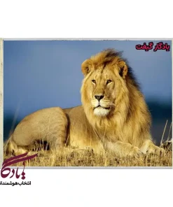 تابلو فرش ماشینی طرح حیوانات سلطان جنگل کد h35