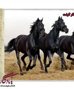 تابلو فرش ماشینی طرح حیوانات سه مشکی کد h26-1