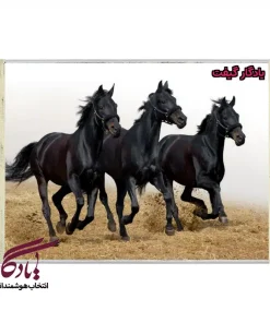 تابلو فرش ماشینی طرح حیوانات سه مشکی کد h26