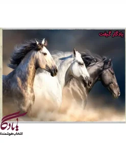 تابلو فرش ماشینی طرح حیوانات سه همراه کد h30