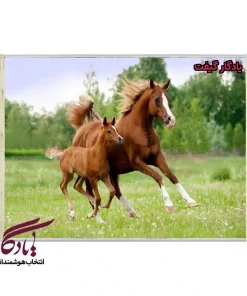 تابلو فرش ماشینی طرح حیوانات همراه مادر کد h40