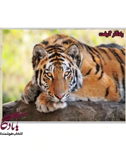تابلو فرش ماشینی طرح حیوانات خیرگی کد h55