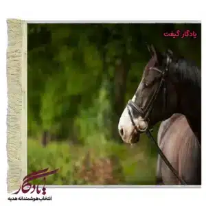 تابلو فرش ماشینی طرح حیوانات نگاه اسب کد h62-1