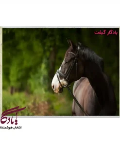 تابلو فرش ماشینی طرح حیوانات نگاه اسب کد h62