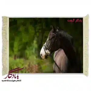 تابلو فرش ماشینی طرح حیوانات نگاه اسب کد h62