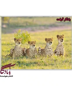 تابلو فرش ماشینی طرح حیوانات چیتاهای جوان کد h52