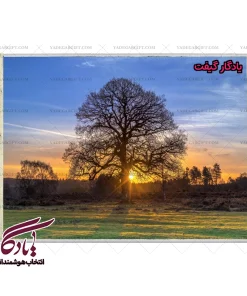 تابلو فرش ماشینی طرح منظره تک درخت 3 کد m89 - یادگار گیفت
