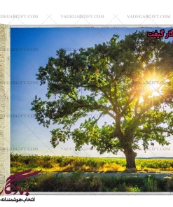 تابلو فرش ماشینی طرح منظره تک درخت 4 کد m91 - یادگار گیفت