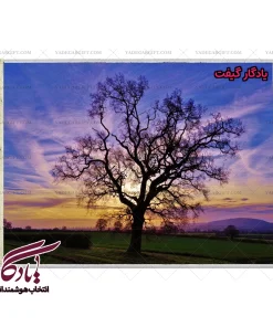 تابلو فرش ماشینی طرح منظره تک درخت کد m76 - یادگار گیفت
