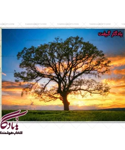 تابلو فرش ماشینی طرح منظره تک درخت2 کد m82 - یادگار گیفت