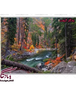 تابلو فرش ماشینی طرح منظره جنگل و رود3 کد m71 - یادگار گیفت