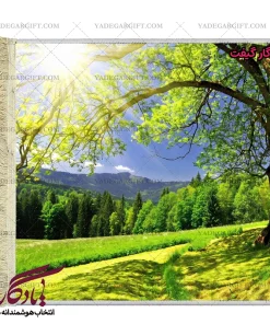 تابلو فرش ماشینی طرح منظره دشت در بهاران کد m68 - یادگار گیفت
