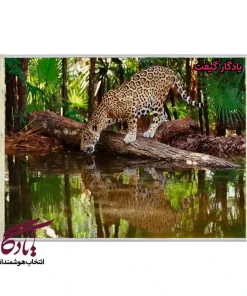 تابلو فرش ماشینی طرح حیوانات عطش جگوار کد h87