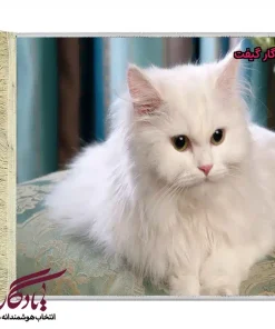 تابلو فرش ماشینی طرح حیوانات گربه ایرانی کد h81-1