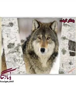 تابلو فرش ماشینی طرح حیوانات گرگ اوراسیا کد h69