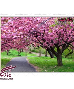 تابلو فرش ماشینی طرح منظره بهار در ساکورا کد m147 - یادگار گیفت