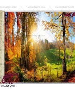 تابلو فرش ماشینی طرح منظره تابستان در مزرعه کد m134 - یادگار گیفت
