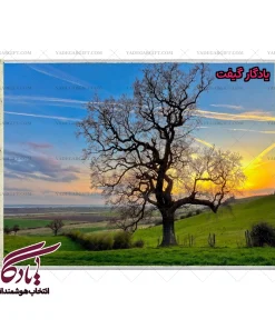 تابلو فرش ماشینی طرح منظره غروب و بلوط کد m144 - یادگار گیفت