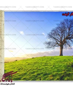 تابلو فرش ماشینی طرح منظره تپه ی سبز کد m223 - یادگار گیفت
