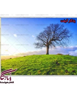 تابلو فرش ماشینی طرح منظره تپه ی سبز کد m223 - یادگار گیفت
