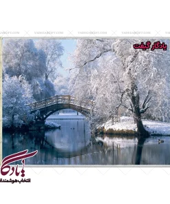 تابلو فرش ماشینی طرح منظره پارک برفی کد m200 - یادگار گیفت